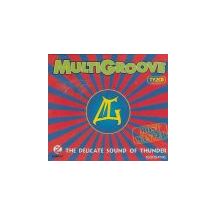 MULTIGROOVE (2CD)