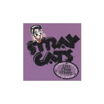 STRAY CATS: Live In Helsinki 9th July 2004