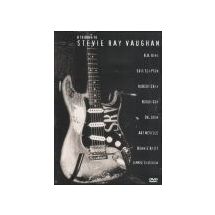 TRIBUTE TO STEVIE RAY VAUGHAN