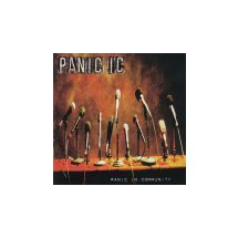PANIC IC: Panic In Community