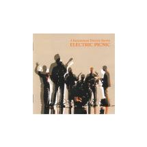 KARJALAINEN J. ELECTRIC SAUNA: Electric Picnic