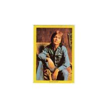 David Cassidy