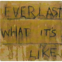 Everlast: What It's Like