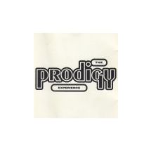 PRODIGY: Experience