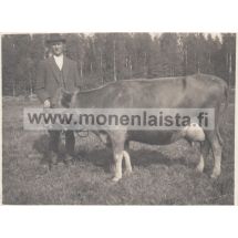 Lehmä isäntineen