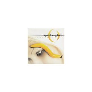 A PERFECT CIRCLE: Thirteenth Step