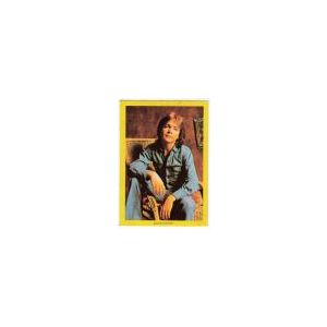 David Cassidy