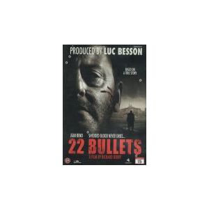 22 BULLETS
