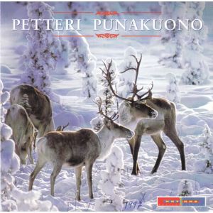 Petteri Punakuono