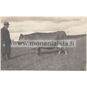 Isäntä ja lehmä, Tyrvää
