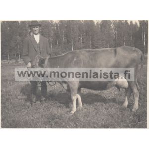 Lehmä isäntineen