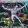 Music Instructor: The World of Music Instructor