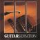 Guitarsensation Vol.1