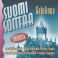 Suomi soittaa: Satulinna
