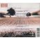 Kirka: Tie huomiseen