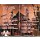 Death...is just the beginning III promo (2cd)